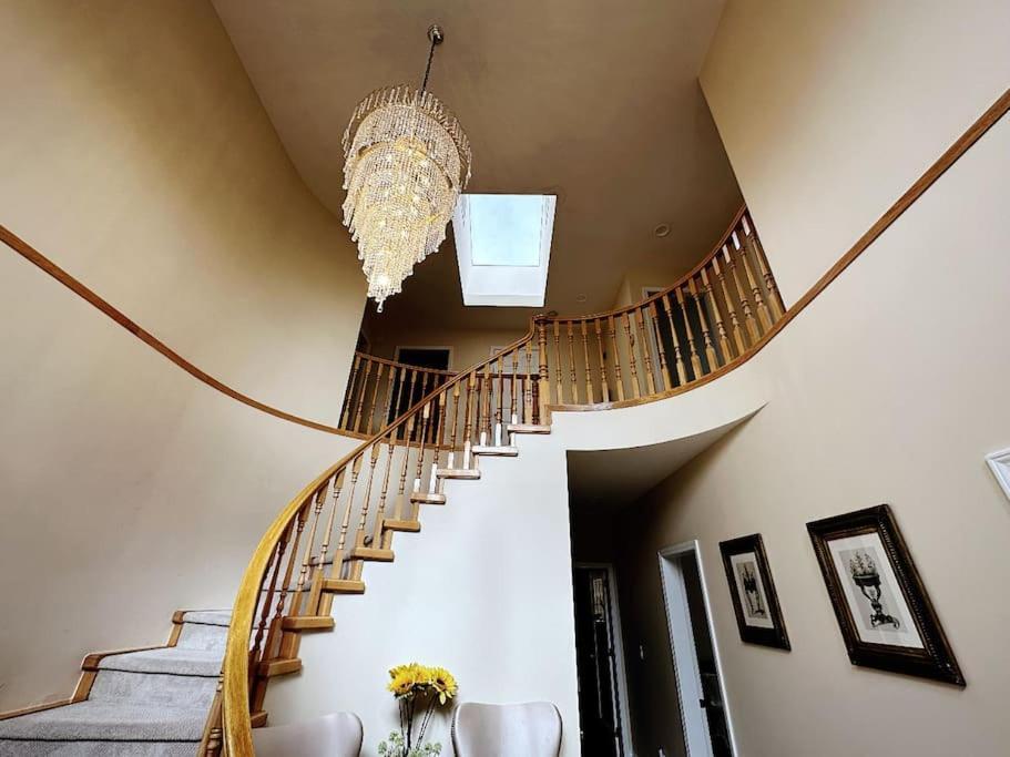 Super Cosy 8Bed & 6Bath In Vancouver Heart Near To Airport And Downtown Eksteriør billede