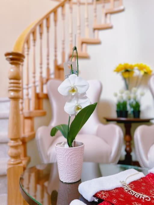 Super Cosy 8Bed & 6Bath In Vancouver Heart Near To Airport And Downtown Eksteriør billede